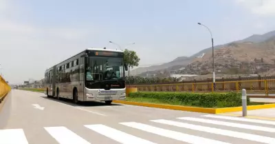 metropolitano-1