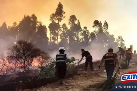 Cajamarca-600-hectreas-de-plantaciones-son-arrasadas-por-incendio-forestal