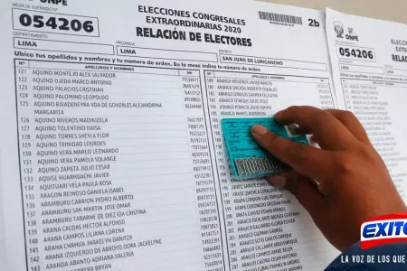 Elecciones-2021-ministro-de-Defensa-Chvez