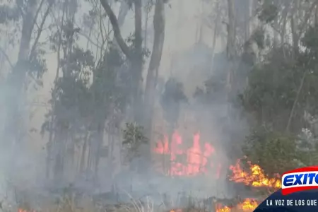 Intensifican-acciones-para-controlar-incendio-forestal-en-Ayacucho