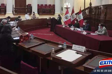 La-Comisin-del-Tribunal-Constitucional-aprob-el-nuevo-reglamento-para-la-elecc