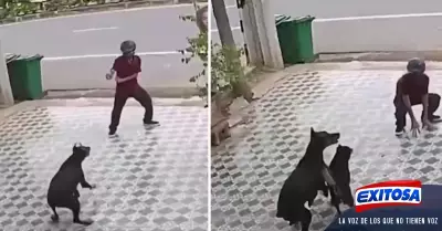 VIDEO-Hombre-se-salva-de-ser-atacado-por-perros-con-increbles-movimientos-de-Ka