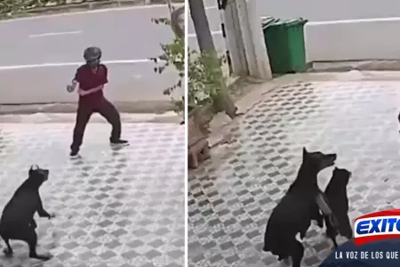 VIDEO-Hombre-se-salva-de-ser-atacado-por-perros-con-increbles-movimientos-de-Ka