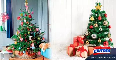 Elabora-un-rbol-de-Navidad-sin-muchos-materiales-y-en-casa