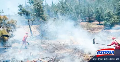 Dos-provincias-de-Puno-baten-rcord-en-reportes-de-incendios-forestales