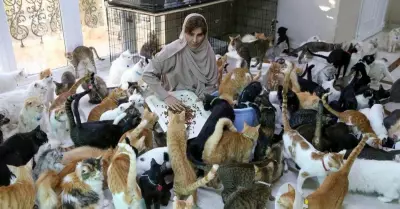 Maryam-al-Balushi-se-inspir-de-una-antigua-vecina-que-alimentaba-a-los-animales