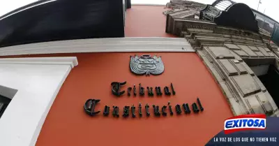 Tribunal-Constitucional