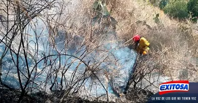 incendio-forestal-en-Carhuaz