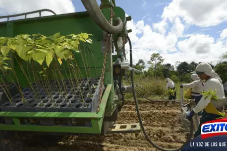 Congreso-vota-este-domingo-el-proyecto-de-ley-sobre-el-nuevo-rgimen-agrario-