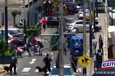 surco-ataque-perros-venezolanos