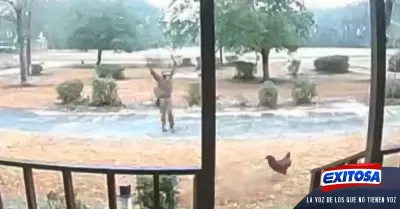 gallo-guardian