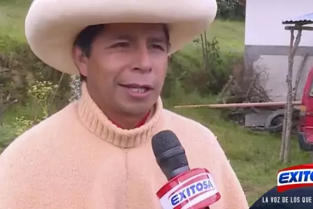 pedor-castillo-entrevista-exitosa