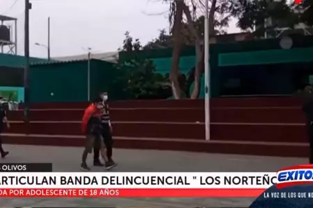 Los-Olivos-Desarticulan-banda-Los-Norteos-que-eran-asaltaban-en-la-Panamericana