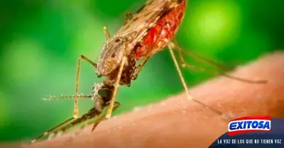 vacuna-contra-la-malaria