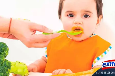 introducir-alimentos-slidos-en-la-dieta-del-beb