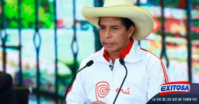 peru-libre-No-descartan-alianzas-no-sean-de-izquierda-dice-De-Echave