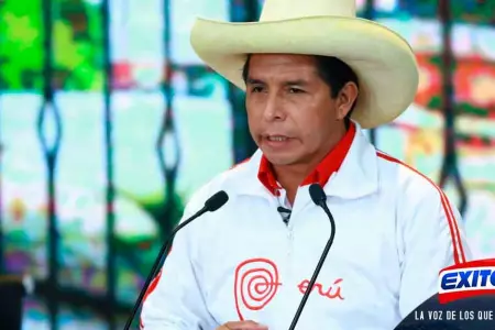 peru-libre-No-descartan-alianzas-no-sean-de-izquierda-dice-De-Echave