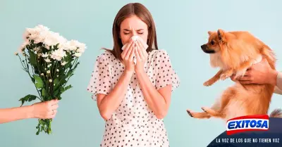 alergias-comunes