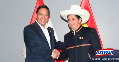 Exitosa-Pedro-Castillo-y-Luis-Arce-presidente-de-Bolivia