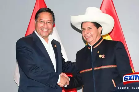 Exitosa-Pedro-Castillo-y-Luis-Arce-presidente-de-Bolivia