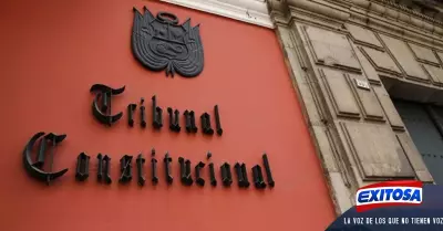 tribunal-constitucional-miembros