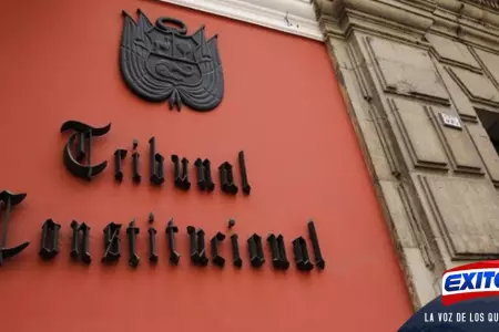 tribunal-constitucional-miembros