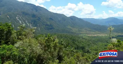 rea-de-conservacin-regional-Chontabamba-Huancabamba