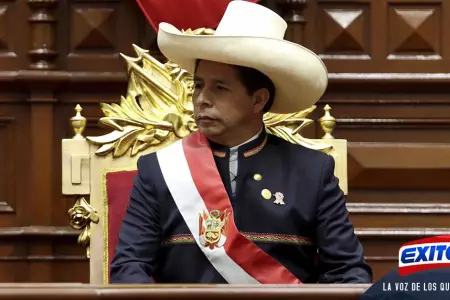 pedro-castillo-exitosa