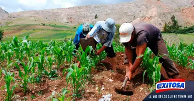 agricultores-Exitosa