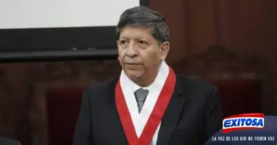 Carlos-Ramos-Nez-Tribunal-Constitucional-Exitosa