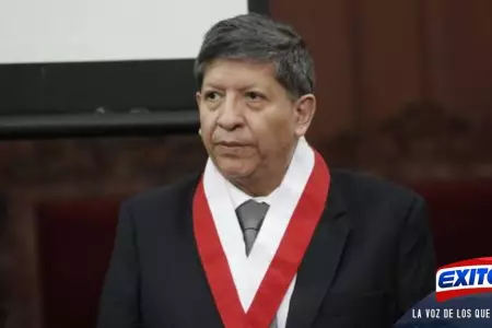 Carlos-Ramos-Nez-Tribunal-Constitucional-Exitosa