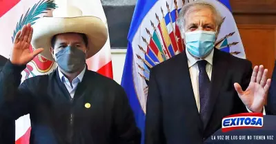 OEA-Pedro-Castillo-Luis-Almagro-Exitosa