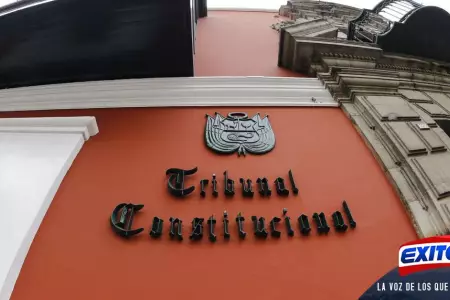 Tribunal-Constitucional-CAS-Exitosa