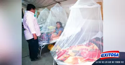 dengue-emergencia-Exitosa
