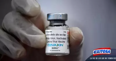 covaxin-OMS-india-COVID-19-vacuna-Exitosa-noticias