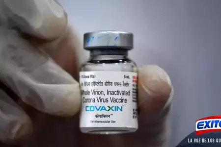 covaxin-OMS-india-COVID-19-vacuna-Exitosa-noticias