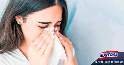rinitis-alergica-Exitosa