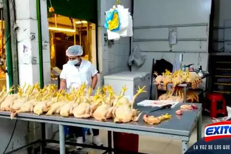 Exitosa-precio-gallina-pollo-sube-mercado