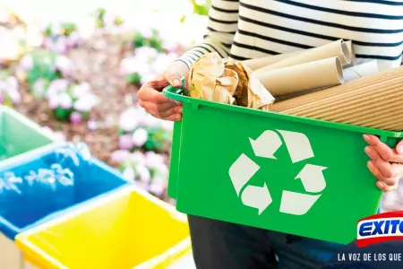 reciclar-en-casa-Exitosa