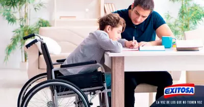 discapacidad-hogar-Exitosa