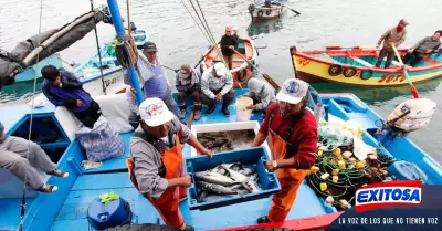 Piura-Tumbes-pescadores-merluza-Produce-Exitosa-noticias
