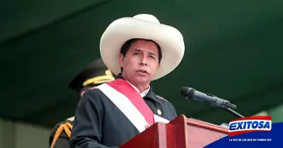 Pedro-Castillo-Exitosa