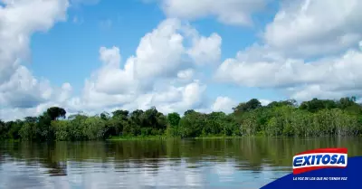 Amazona-peruana-Exitosa