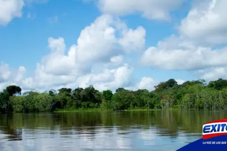 Amazona-peruana-Exitosa