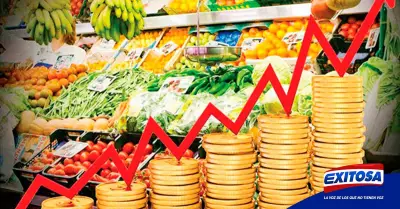 Falvy-inflacion-alimentos-Exitosa