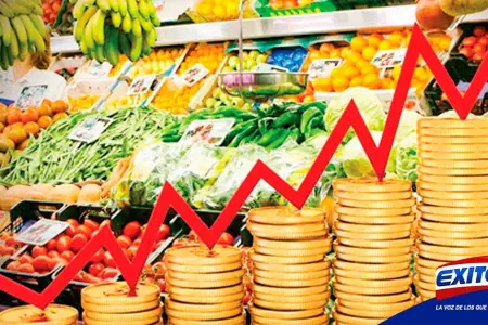 Falvy-inflacion-alimentos-Exitosa
