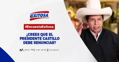 Pedro-Castillo-renuncia-Encuesta-Exitosa