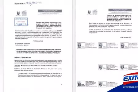 La-reforma-constitucional-propuesta-por-Cha?vez-Chino