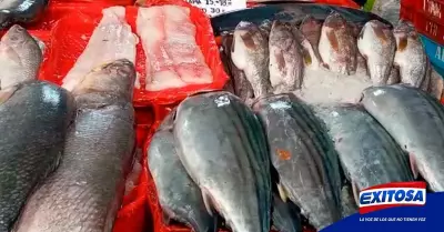 Exitosa-vmt-precio-pescado-eleva-transportistas