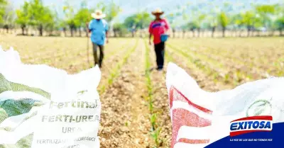 Fertilizantes-agro-Piura-Agricultura-planta-Exitosa